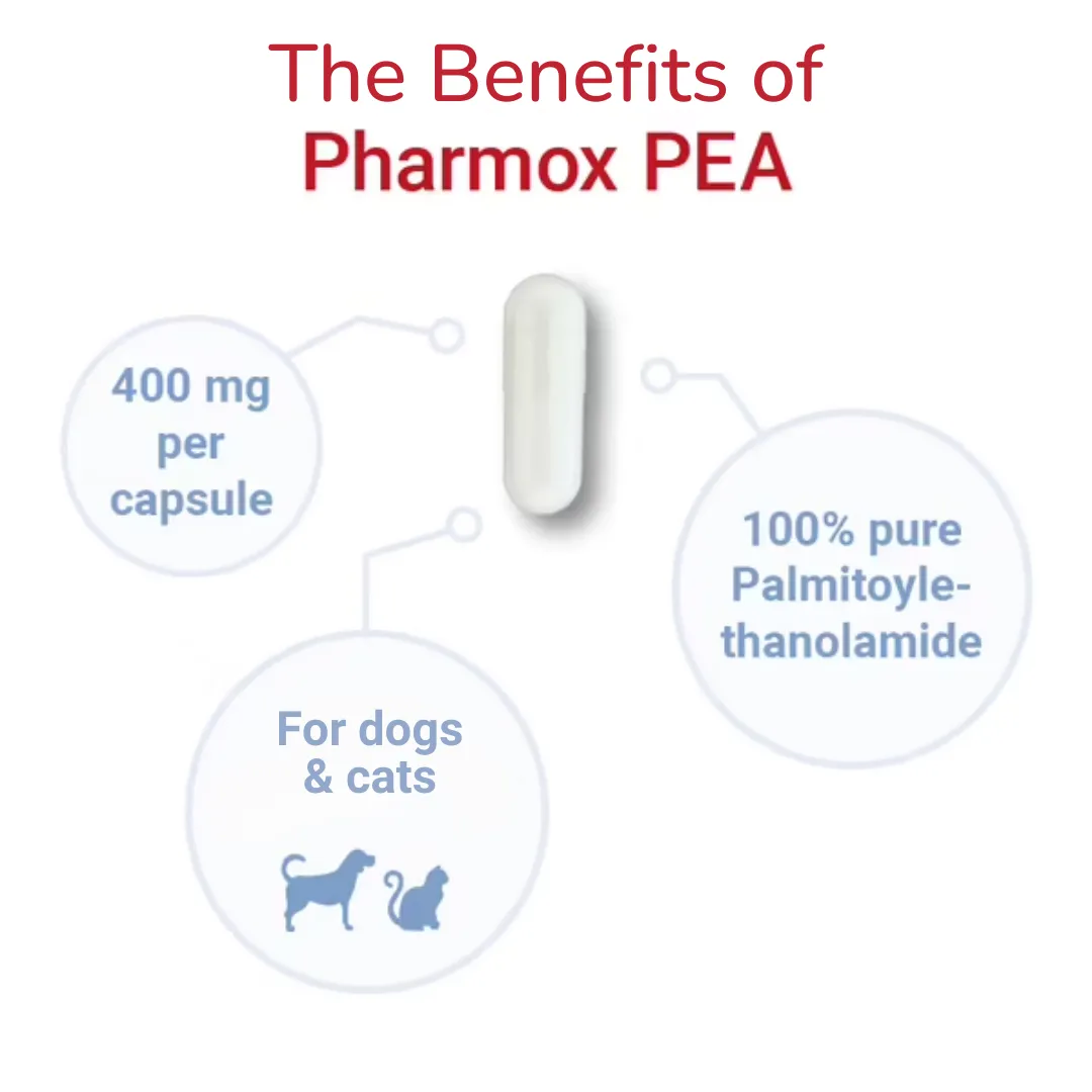 Pharmox 100% Pure PEA -Premium Quality Palmitoylethanolamide Supplement for Pain Relief and Inflammation Support